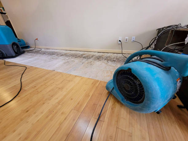 Professional Structural Drying technician working in Glasgow, KY